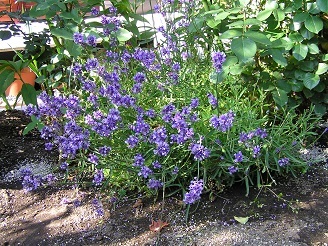 f0325309_20390651.jpg