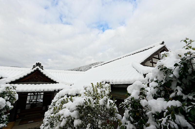京都の雪景色2018＠大原　実光院_f0032011_14582001.jpg