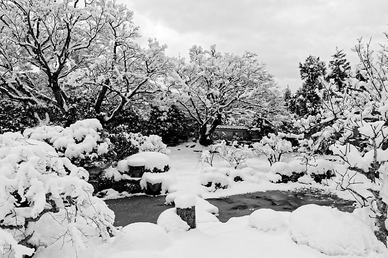 京都の雪景色2018＠大原　実光院_f0032011_15080432.jpg