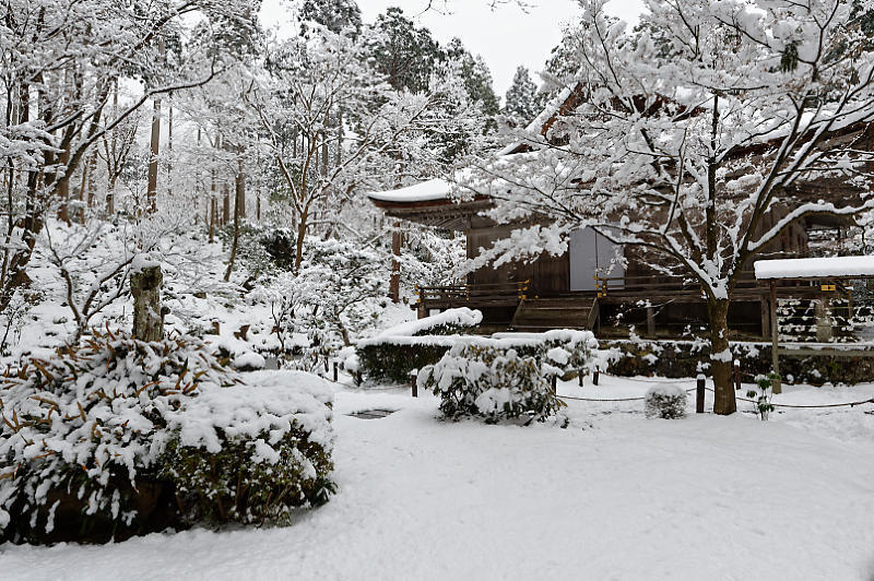 京都の雪景色2018＠大原　三千院_f0032011_17061138.jpg