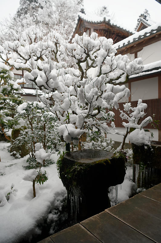 京都の雪景色2018＠大原　三千院_f0032011_17061199.jpg