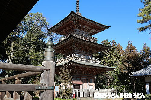 c0113312_2358334.jpg