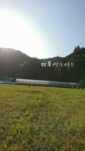 b0187620_17503616.jpg