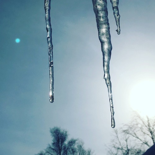 f0143521_23281870.jpeg