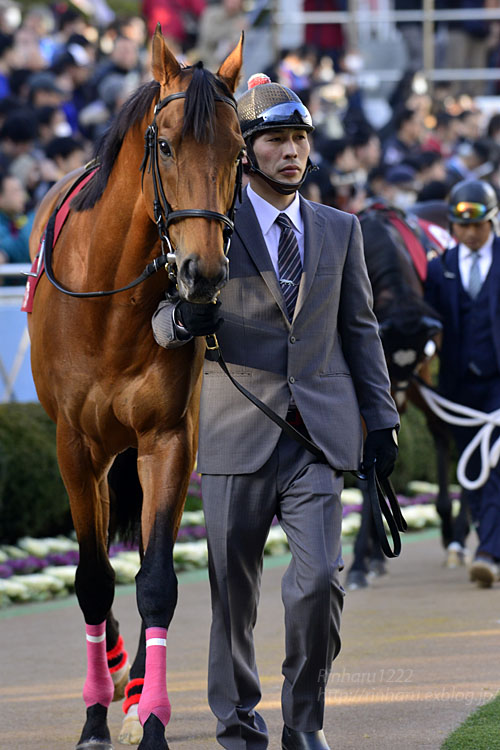 2018.1.21 中山競馬場☆AJCC☆ディサイファ【Decipher】_f0250322_21592668.jpg