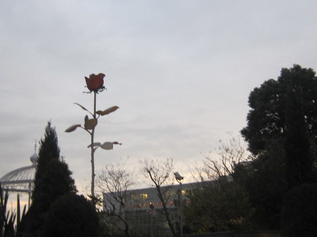 d0162225_12004792.jpg