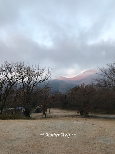 第7回キャンプ『マザーウルフＣＡＭＰ～2017冬～in 静岡』②後編_e0191026_11410067.jpeg