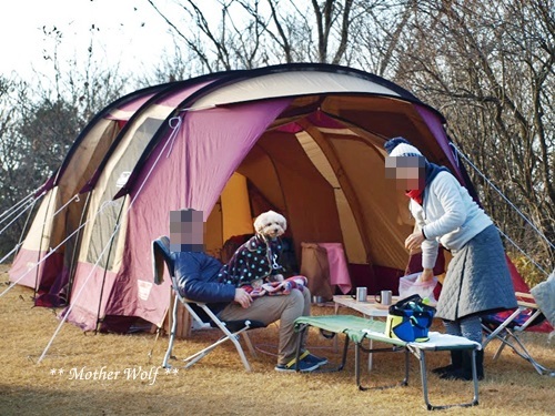 第7回キャンプ『マザーウルフＣＡＭＰ～2017冬～in 静岡』②後編_e0191026_12002113.jpg