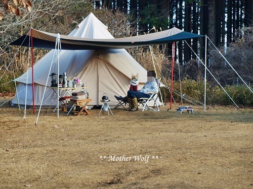 第7回キャンプ『マザーウルフCAMP~2017冬~in 静岡』②後編_e0191026_12012622.jpg