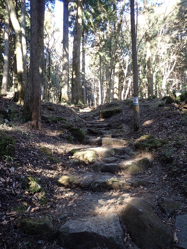 e0284726_16464778.jpg