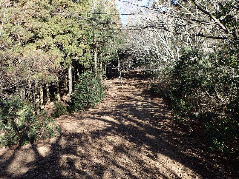 e0284726_1648294.jpg