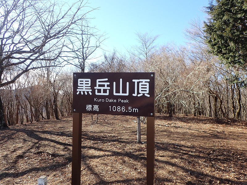 e0284726_1724751.jpg