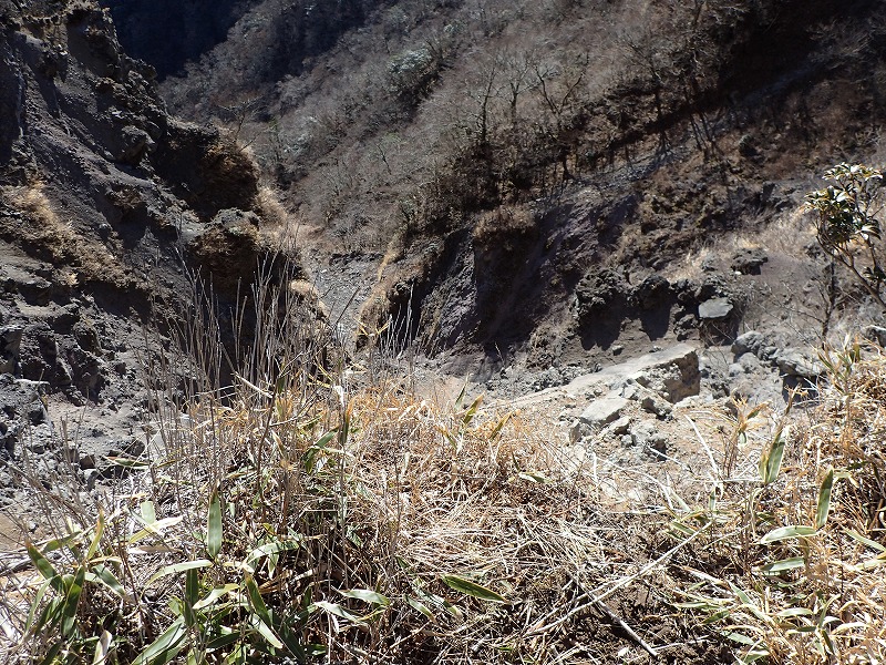 e0284726_1743891.jpg