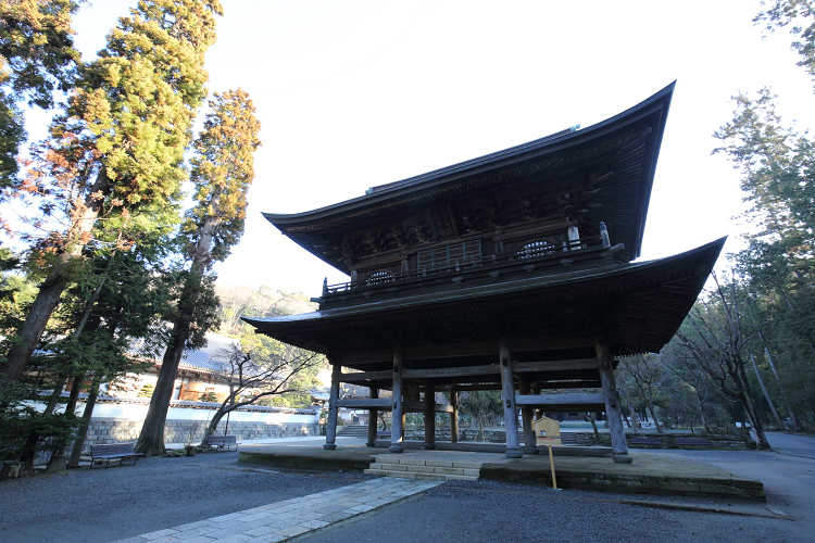 鎌倉散歩　#62 －早春の北鎌倉 円覚寺（前編）－ _b0169330_2344354.jpg