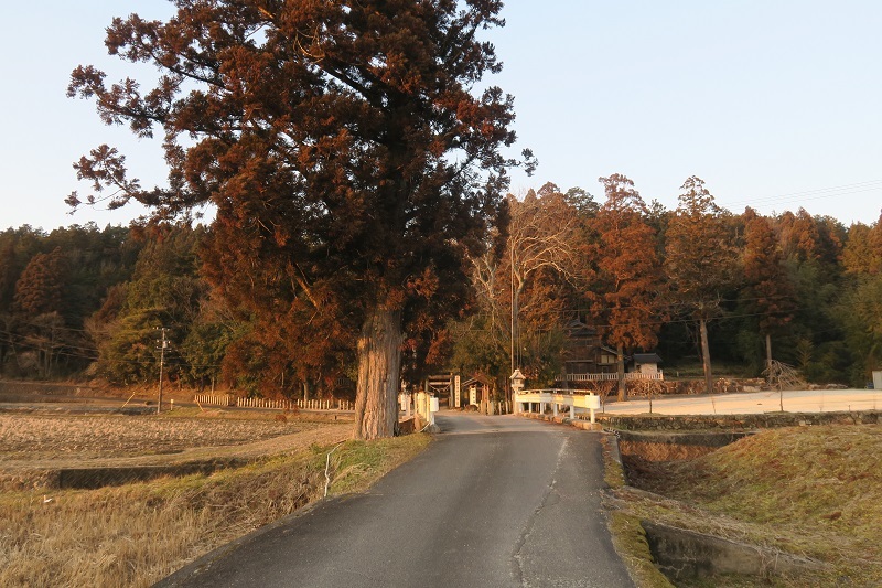 鎮守の森_f0076731_20015658.jpg