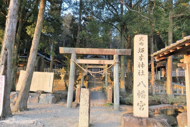 鎮守の森_f0076731_20023324.jpg