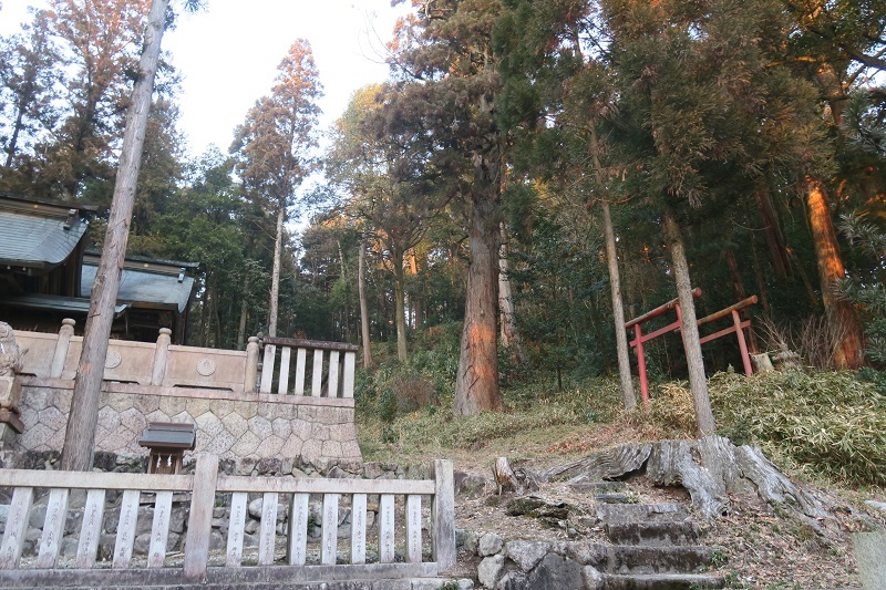 鎮守の森_f0076731_20031598.jpg