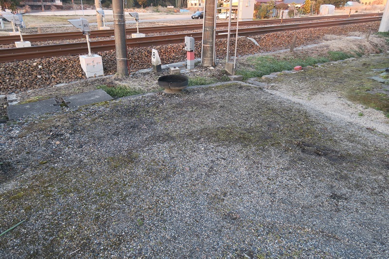 鎮守の森_f0076731_20131267.jpg