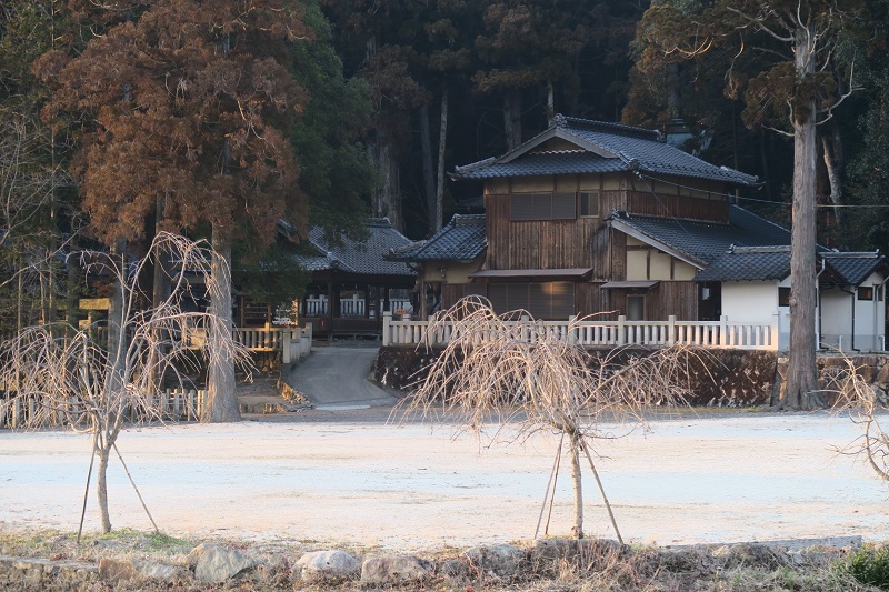鎮守の森_f0076731_22461910.jpg
