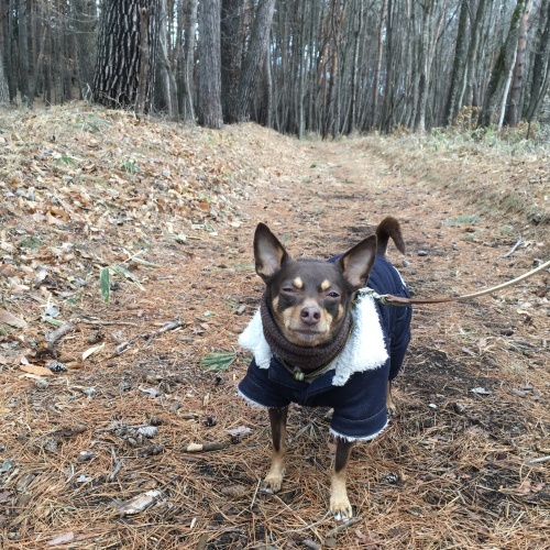a0291132_10075157.jpeg