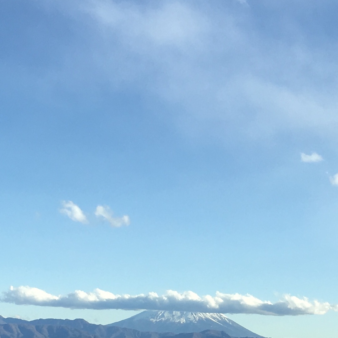 a0291132_10122131.jpeg