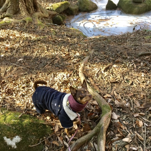 a0291132_11171705.jpeg
