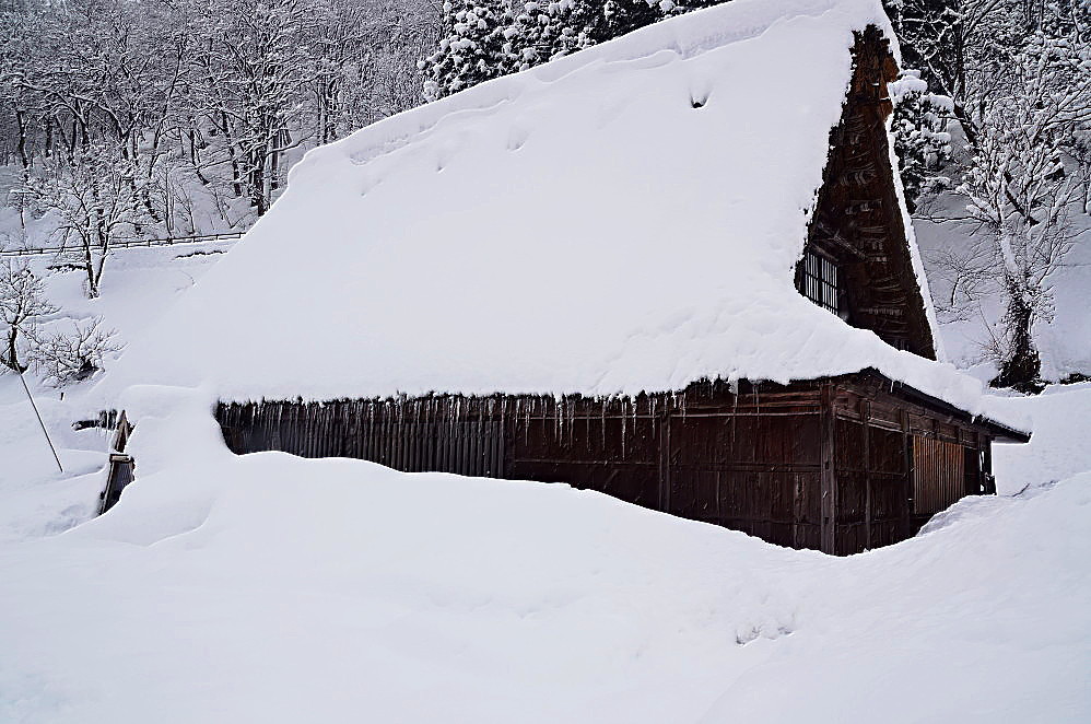 五箇山　雪の集落_a0287533_16304035.jpg