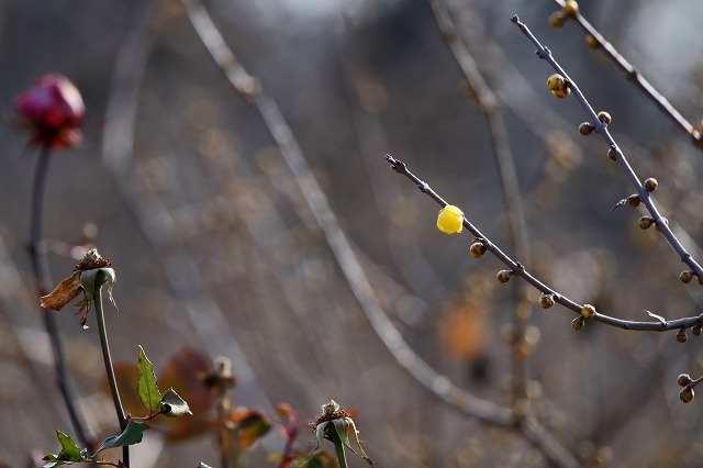 a0242438_07404038.jpg
