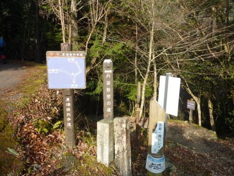 京都北山 『愛宕山』_c0218841_11150769.jpg