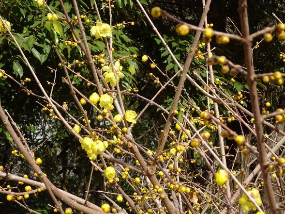 b0299042_22180436.jpg