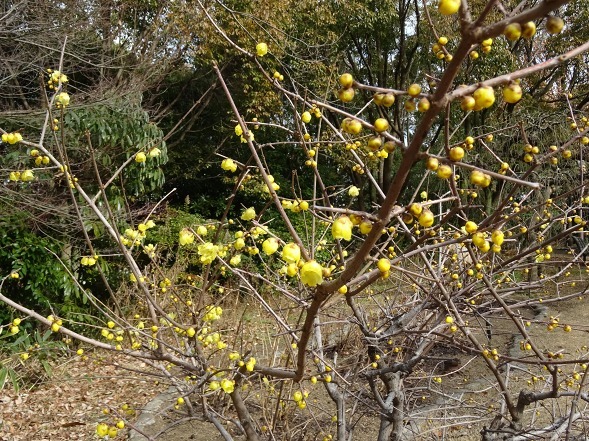 b0299042_22183161.jpg