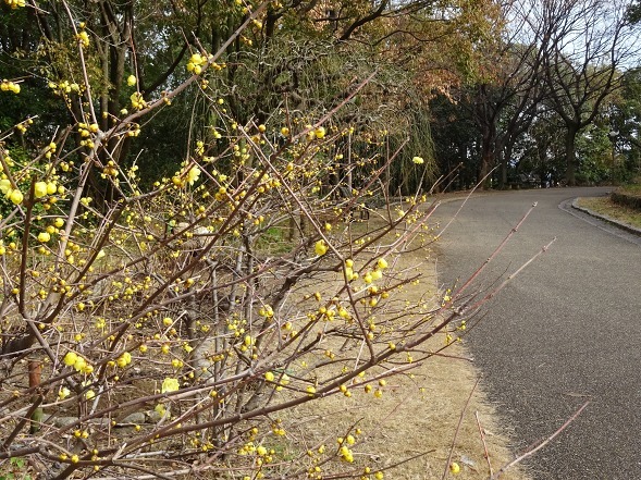 b0299042_22183816.jpg