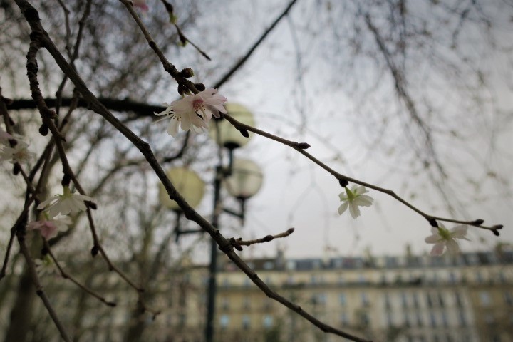 e0300042_22040555.jpg