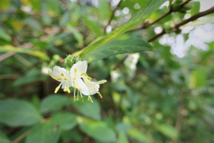 e0300042_22091124.jpg