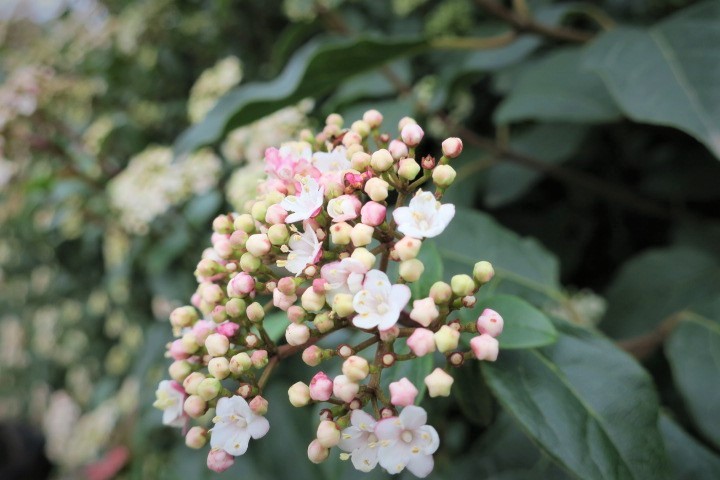 e0300042_22092548.jpg