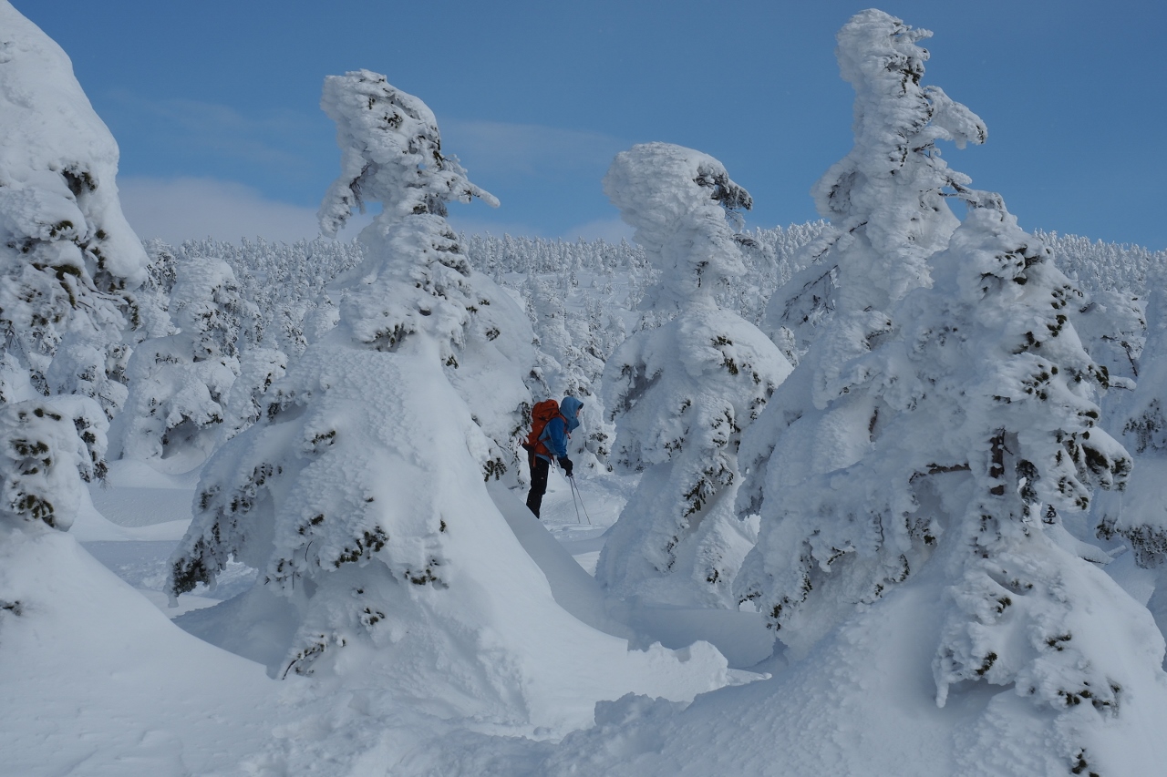 2018/1/20　西大巓から西吾妻山_b0189948_1642126.jpg