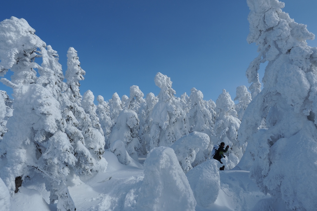 2018/1/20　西大巓から西吾妻山_b0189948_16422462.jpg