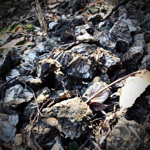 c0312349_13291490.jpeg