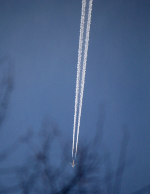 a0248459_16322590.jpg