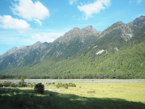 大迫力のユニークな地形！Fiordland National ParkでMilford Soundのクルージング ～NZバスの旅 18日目～_c0351060_00062211.jpg