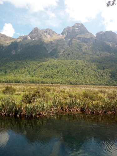 大迫力のユニークな地形！Fiordland National ParkでMilford Soundのクルージング ～NZバスの旅 18日目～_c0351060_00162598.jpg