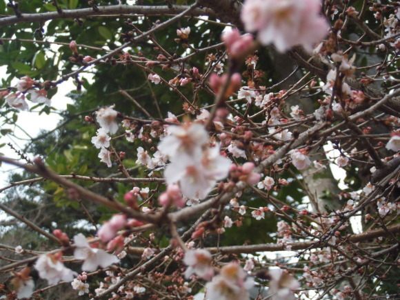 c0325468_16311080.jpg