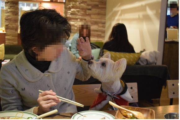 b0242873_11442672.png