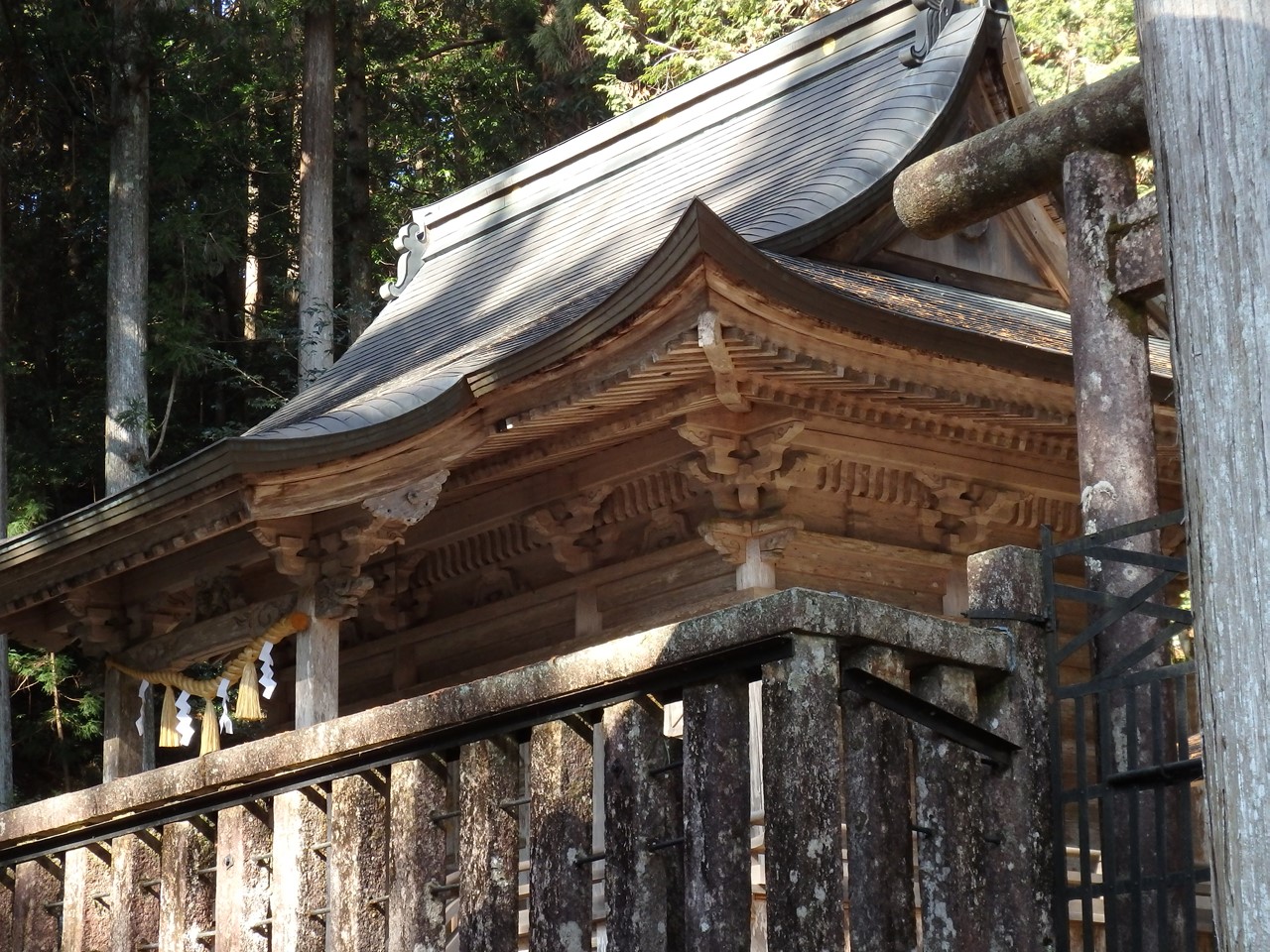 『高賀神社と高賀川と円空狛犬･････』_d0054276_2023946.jpg