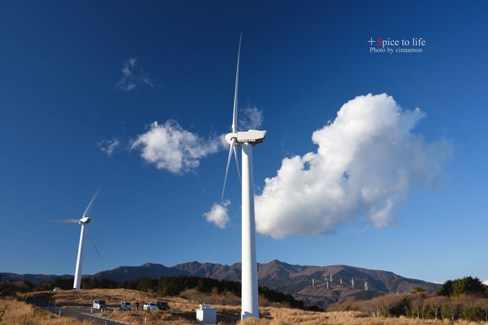 wind farm_f0326278_13563242.jpg