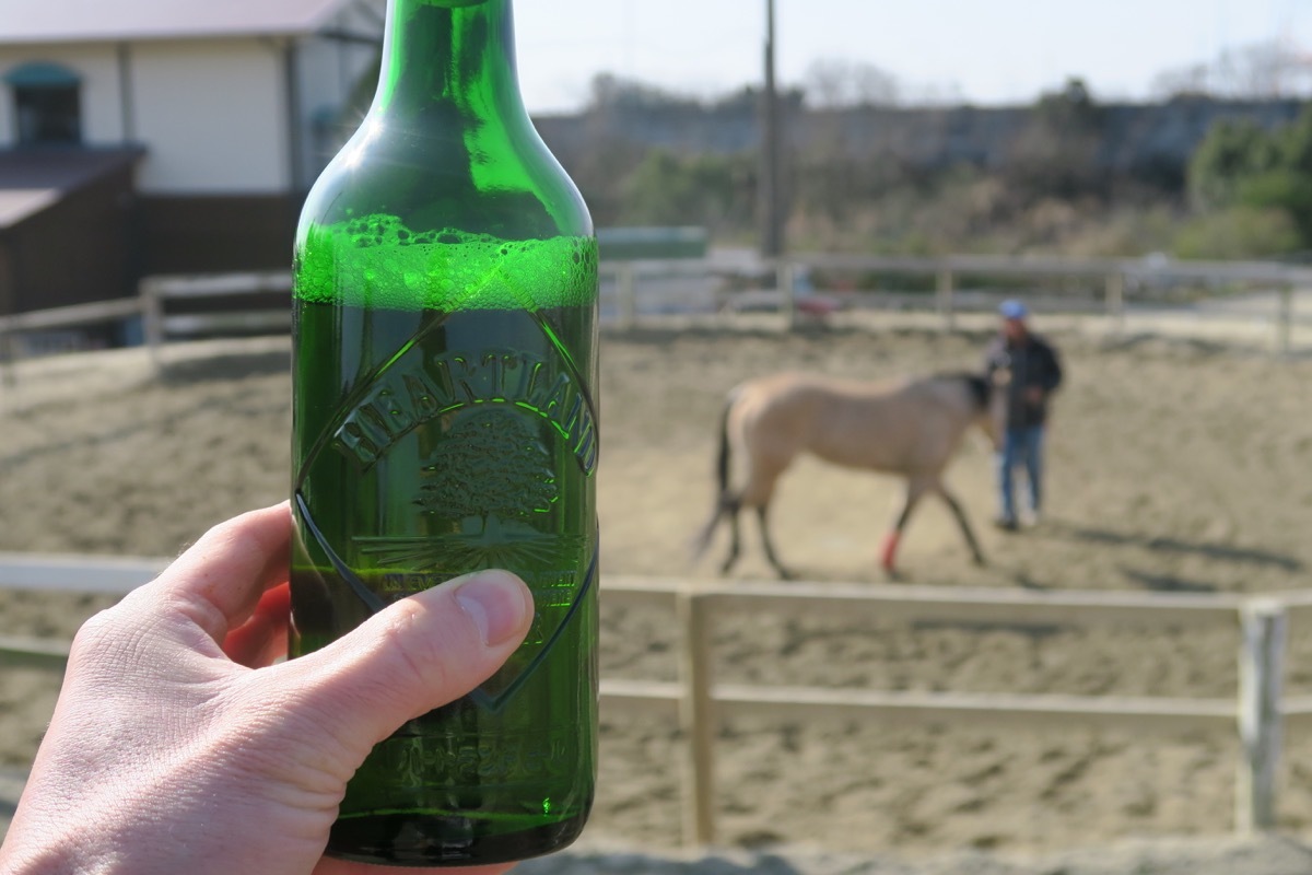 東海シクロクロス愛知牧場DAY1に飲みにいった。とか。_f0170779_21545038.jpg