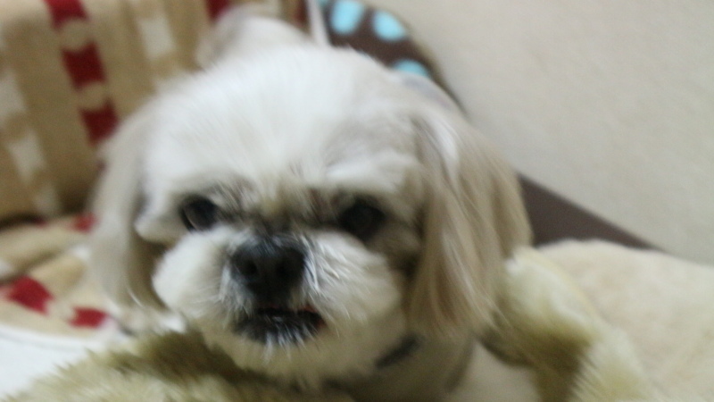 f0280186_20153860.jpg