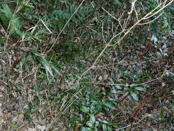 c0049095_2252132.jpg