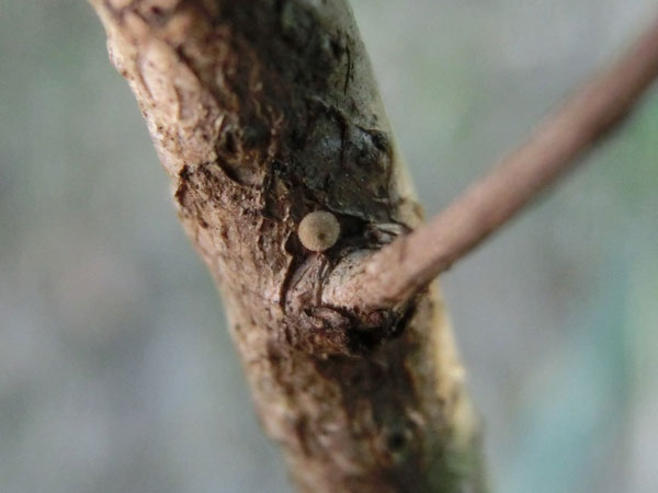 c0049095_22523478.jpg