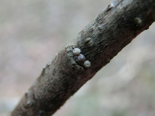 c0049095_22543950.jpg